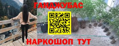 мдма Камышлов