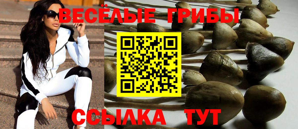 Галлюциногенные грибы Cubensis Красногорск
